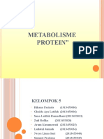 k.5 Metabolisme Protein