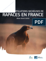 Bilan Rapaces Def