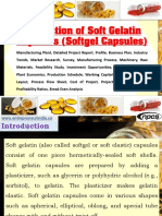 Production of Soft Gelatin Capsules (Softgel Capsules) - 633221