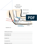 Fisa de Nursing 6