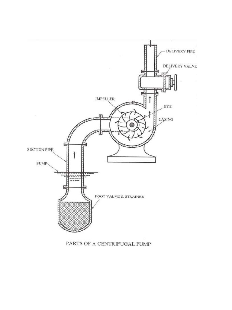 Centrifugal Pump | PDF | Pump | Hydraulics