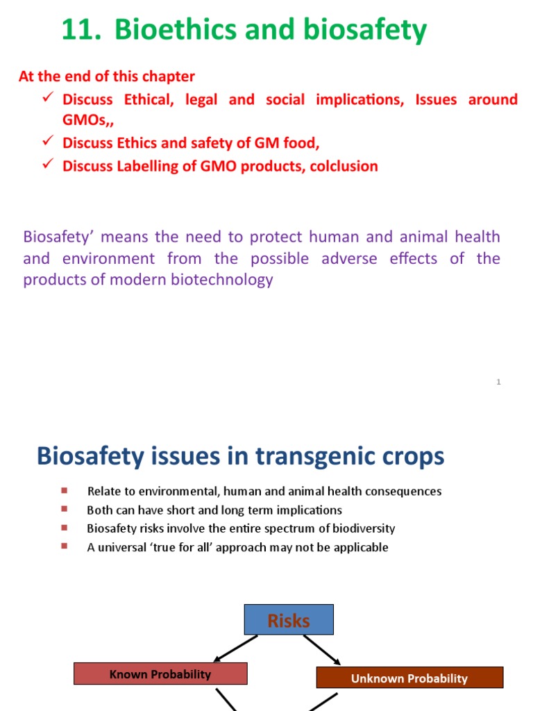 Biosafety and Bioethics in Biotechnology | PDF | Genetically Modified ...