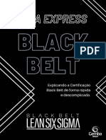 Certificação Black Belt: guia completo para profissionais