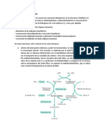 Funciones metabólicas de la vitamina B12