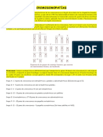 Síndrome-Expo-Ciclo Vi