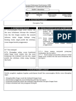 (INTAN) Format RPP Toleransi