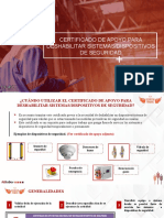 Certificado de apoyo Sistema y Dispositivos de Seguridad