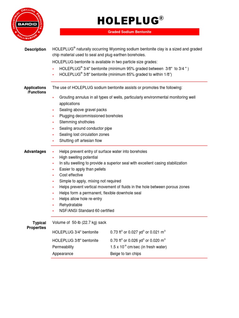 Description HOLEPLUG | PDF | Foot (Unit) | Casing (Borehole)