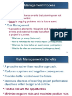 Risk Management Process & Techniques
