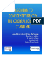 EE038 Algorithm To Confidently Identify The Cerebral Lobes On CT and MRI Saha