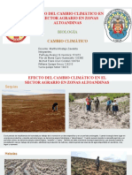 EFECTOS DEL CAMBIO CLIMATICO EN EL SECTOR AGRARIO EN ZONAS ALTOANDINAS.pdf