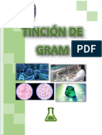 Informe #3 MICROBIOLOGIA-TINCION DE GRAM