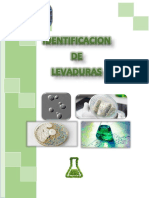 Informe #5 - IDENTIFICACION DE LEVADURAS