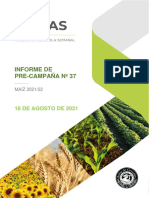 Informe precampaña de maíz 2021/22