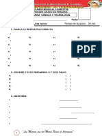 FORMATO MENSUAL IIB - CyT