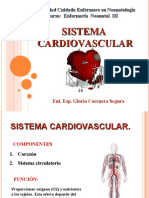 Sistema Cardiovascular RN