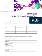Matriz Plan de Transformación - Nivel 2