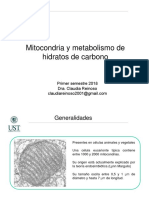 Clase 13 Mitocondria y Metabolismo de Hidratos de Carbono
