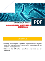 DIAPOS PRÁCTICA #07 Coloración de Estructuras Bacterianas