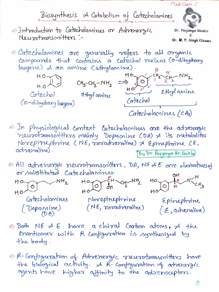 Biosynthesis and Catabolism of Catecholamines | PDF | Chemical ...