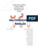 Morfopatología renal y del tracto urinario