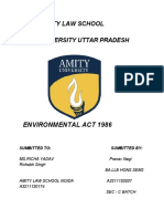 Environmental Law Overview for Amity Law School