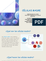 Seminario Celulas Madres