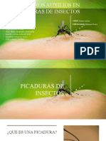 Exposicion Picadura de Insectos