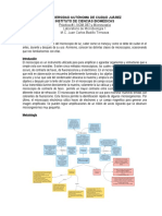 Practica #1 Microbiología