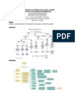 Práctica #8 Microbiología