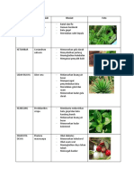 Nama Tanaman Obat 2