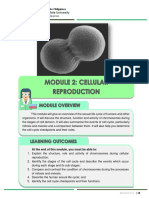 Cell Cycle and Chromosome Structure