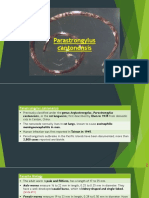 Parasitology - Parastrongylus Cantonensis