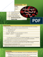 Parasitology - Blood & Tissue - W Bancrofti B Malayi - Presentation