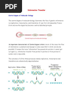 Protein Synthesis Notes PDF | PDF