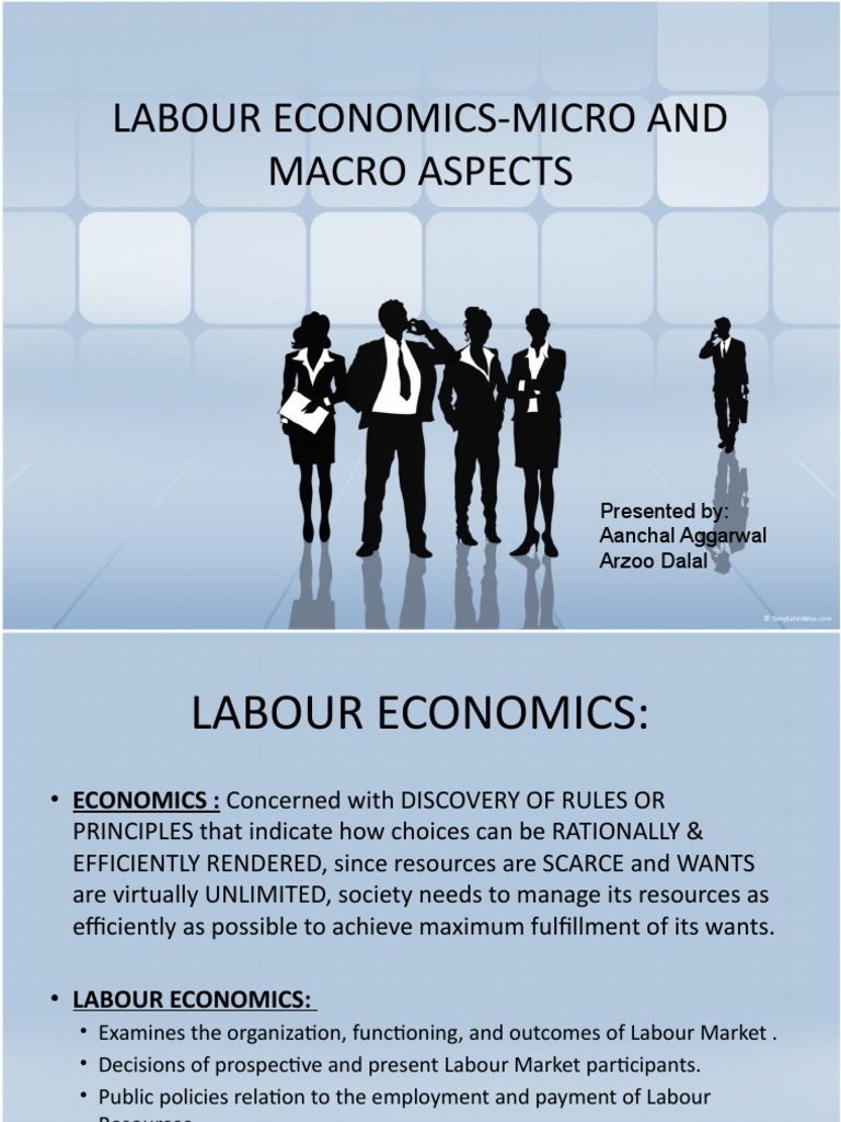 LABOUR ECONOMICSMICRO AND MACRO ASPECTS