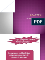 Adaptasi