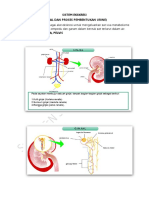 SISTEM EKSKRESI GINJAL