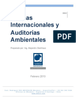 Manual Auditorias y Normas Internacionales Febrero 2013