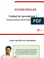 Diapositivas - Reales - 01 - Dispociones Generales y Bienes