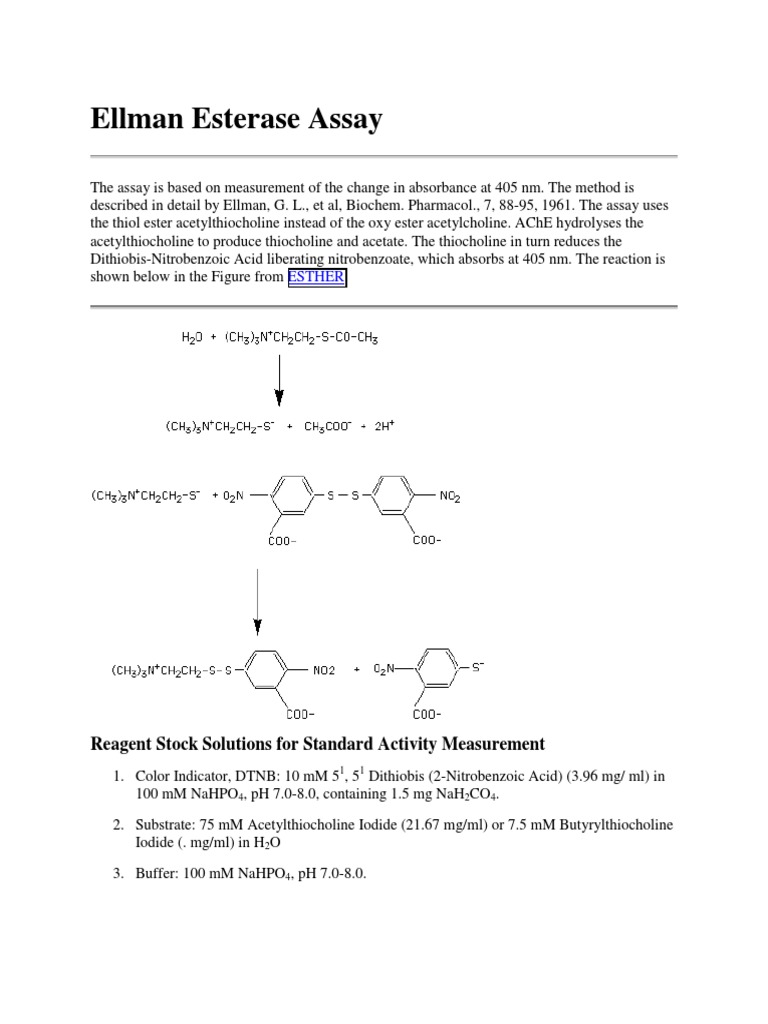 Ellman Assay for AChE Activity | PDF | Enzyme Kinetics