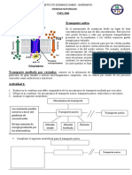 Ciclo 3 Transporte Activo