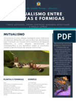 Infográfico MateusdeAraújoPessoa 18105531