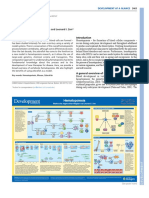 Hematopoiesis: Madhumita Jagannathan-Bogdan and Leonard I. Zon