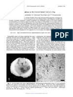 Oligodendroglioma in The Cervical Spinal Cord of A Dog: T. M, A. M - L, M. H - T, W. B