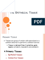 Module 2 Epithelial Tissue