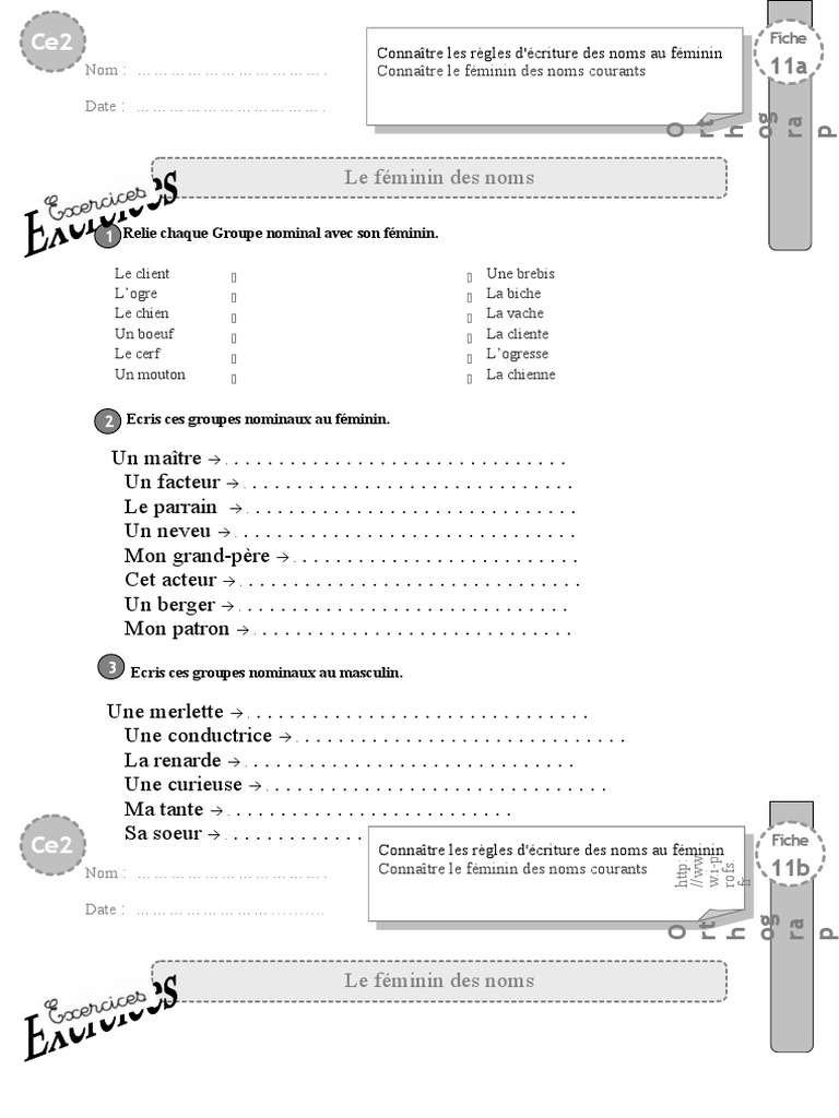 évaluation Groupe Nominal Ce2 Pdf Ce2 Exercices Feminin Noms | PDF