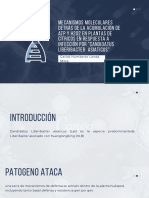Mecanismos Moleculares Detrás de La Acumulación de Atp Y H2O2 en Plantas de Cítricos en Respuesta A Infección Por "Candidatus Liberibacter Asiaticus"