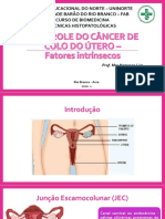 Aula 5 - MACROSCOPIA III - CANCER DO COLO DO ÚTERO