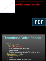 2 Thrombose Des Veines Renales